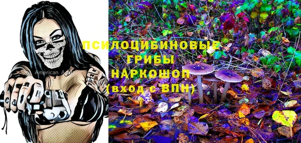 крисы Абинск