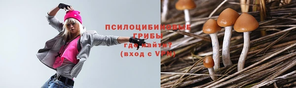 крисы Абинск