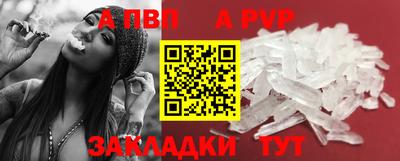 прущие грибы Новозыбков