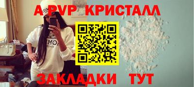 прущие грибы Новозыбков