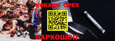 прущие грибы Новозыбков