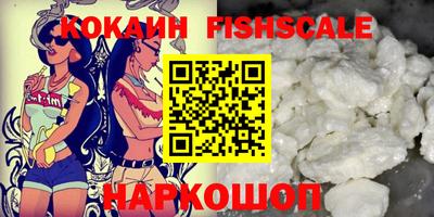 спиды Новодвинск