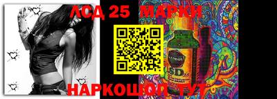 спиды Новодвинск