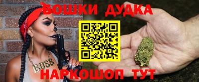 спиды Новодвинск