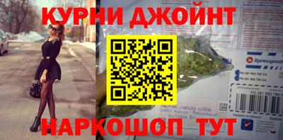 прущие грибы Новозыбков