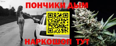 спиды Новодвинск