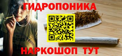спиды Новодвинск