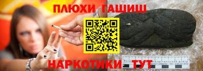 прущие грибы Новозыбков
