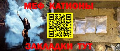 прущие грибы Новозыбков