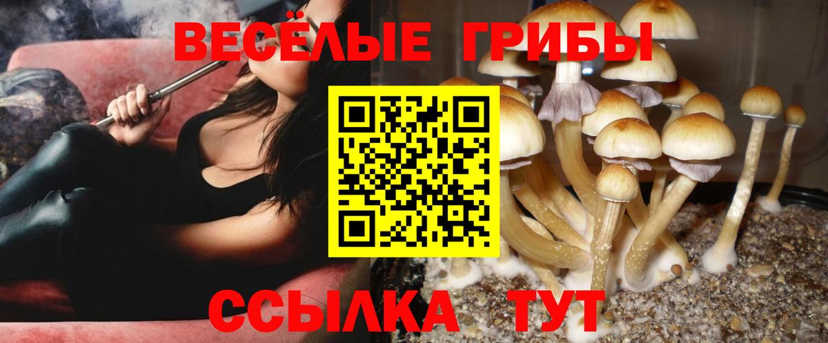Псилоцибиновые грибы MAGIC MUSHROOMS  Вход с VPN  Шарыпово 