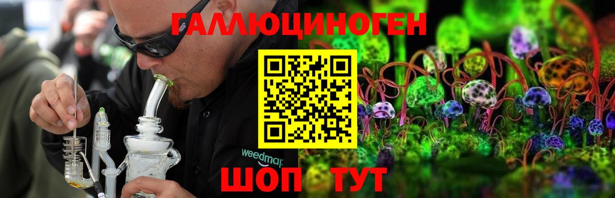 Галлюциногенные грибы Cubensis Шарыпово